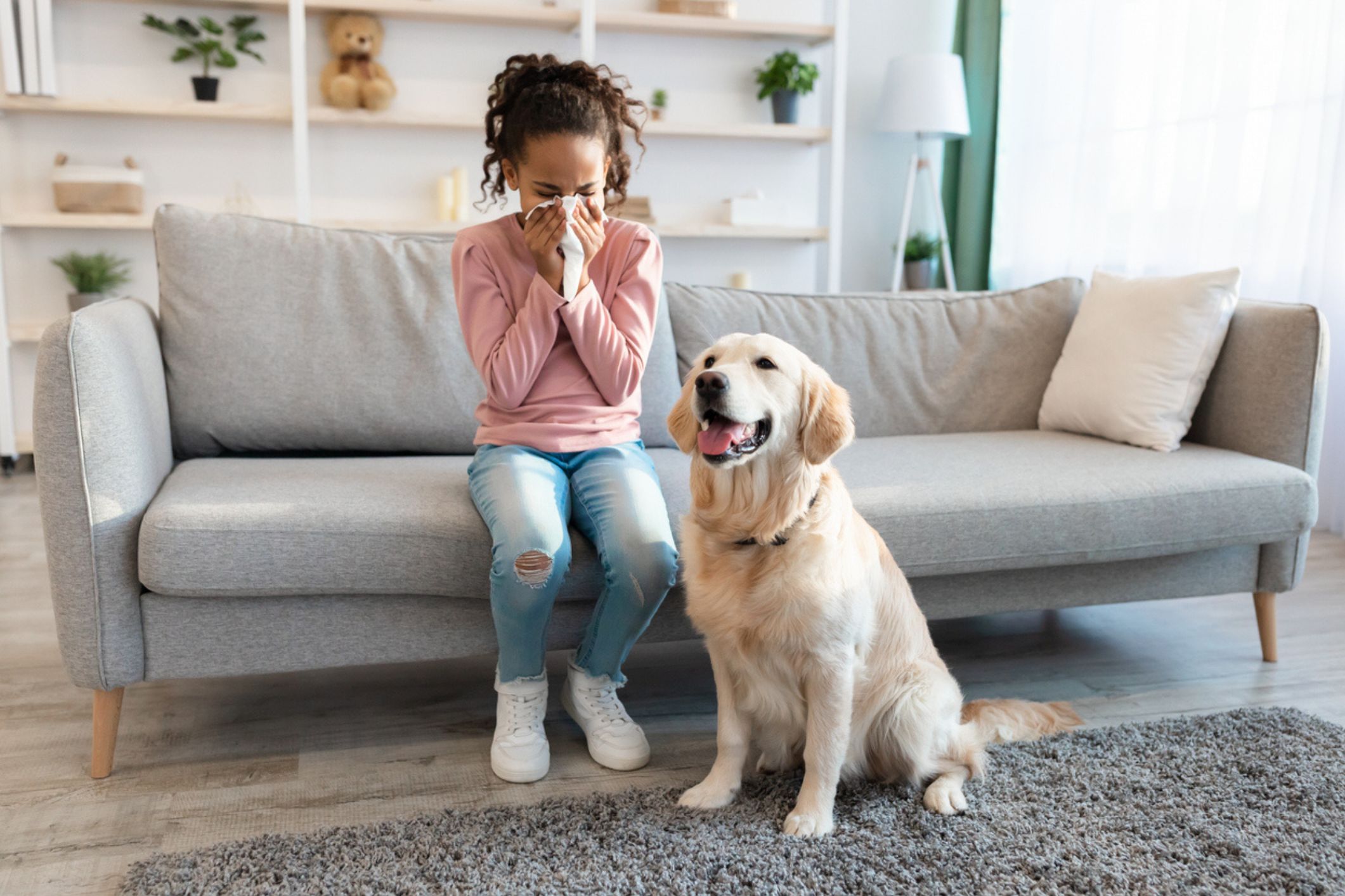 5-simple-ways-to-reduce-pet-dander-in-your-home